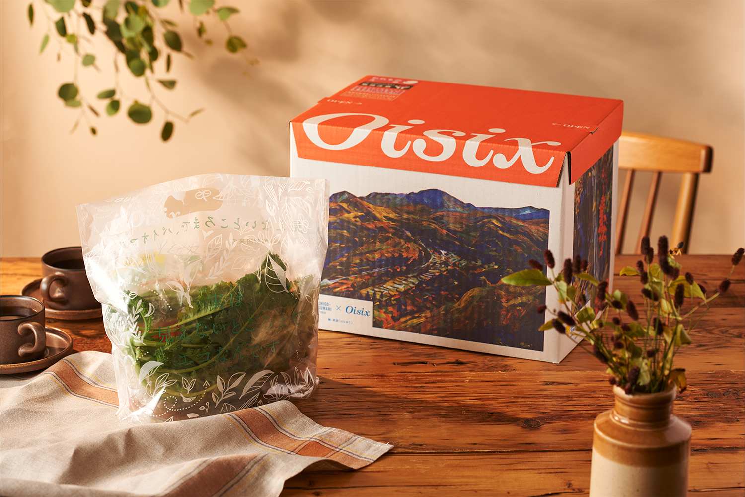 期間限定デザインのダンボールとKit Oisixが並んでいる画像
