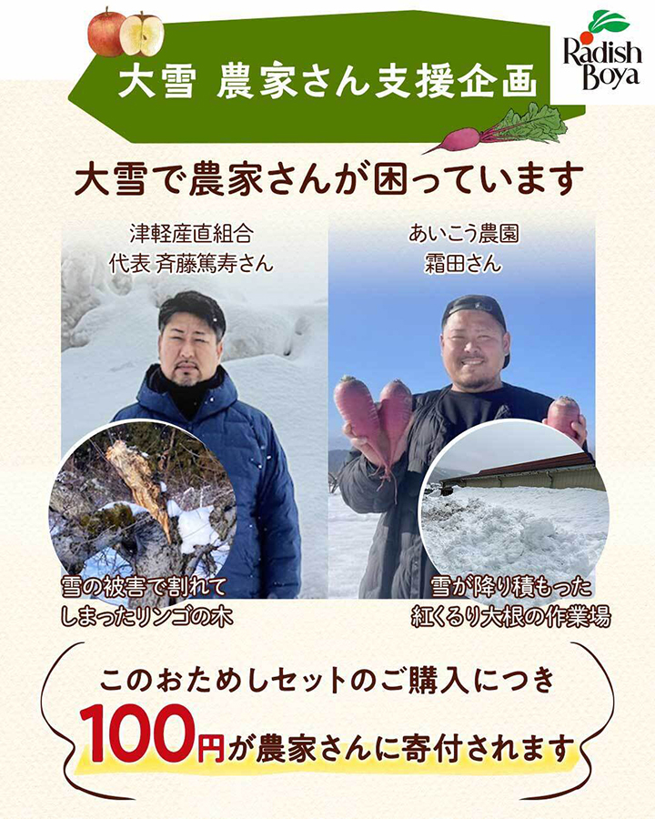 解説画像